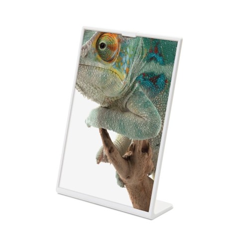 Stojak informacyjny na menu SCRITTO® A6 z podstawą L w kolorze białym przeglądarka ekspozytor do postawienia na stół stojak na menu na informację na ulotkę na plakat